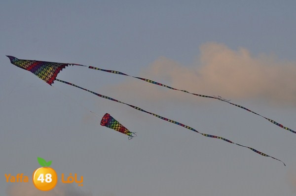 tayarat waraq (8).JPG